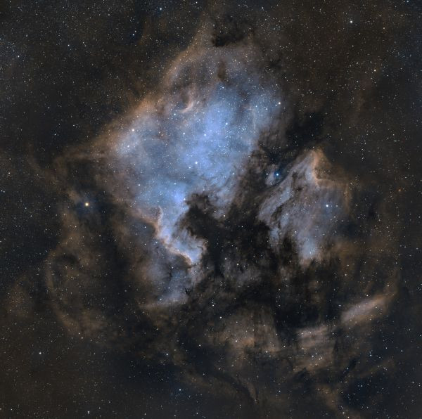 NGC 7000 