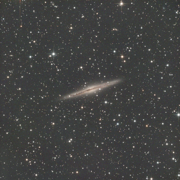 ngc 891 - Astrophotography