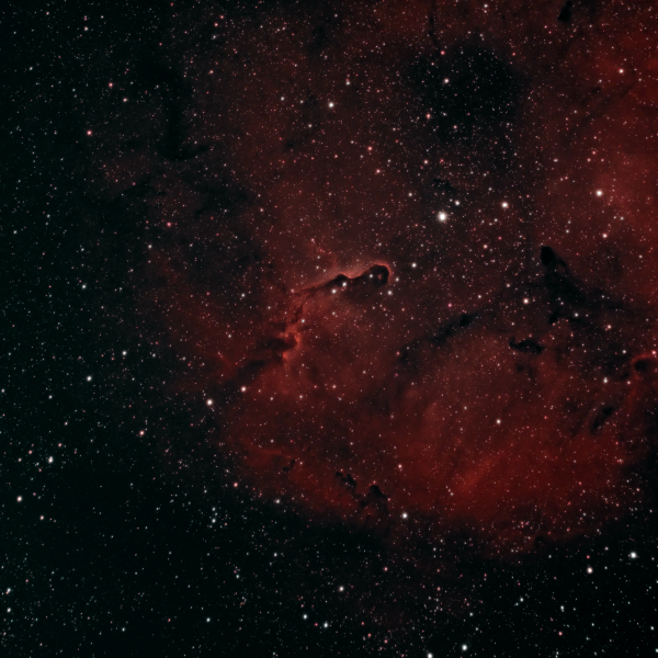IC 1396 (Туманность Хобот слона) - астрофотография