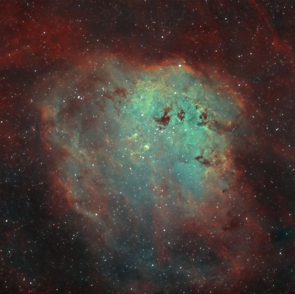 IC 410 - Tadpoles Nebula - Astrophotography