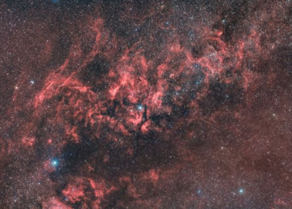Cygnus constellation wide field in Ha-RGB - астрофотография