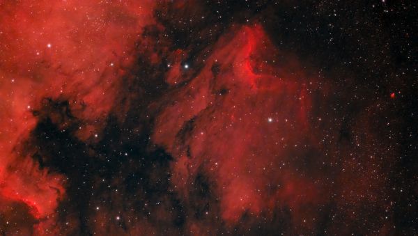 IC 5070 Пеликан  - астрофотография