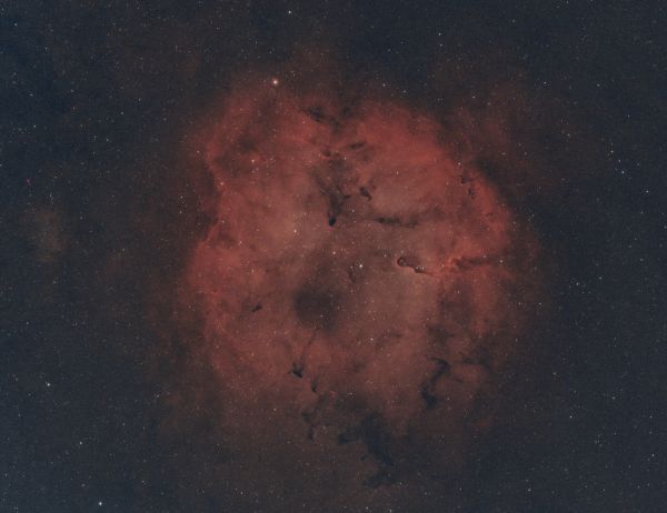 IC 1396 & Mu Cephei, Эракис в Хоботе - астрофотография
