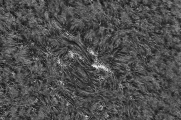 2020.05.25 Sun H-Alpha - астрофотография