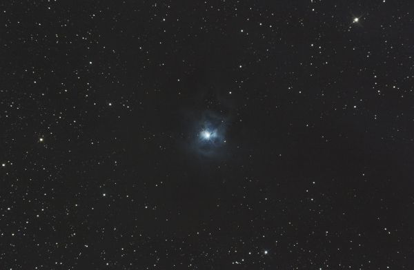 NGC 7023 - астрофотография