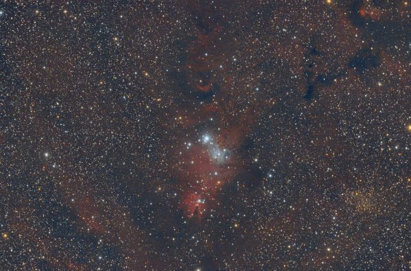 NGC2264 - астрофотография