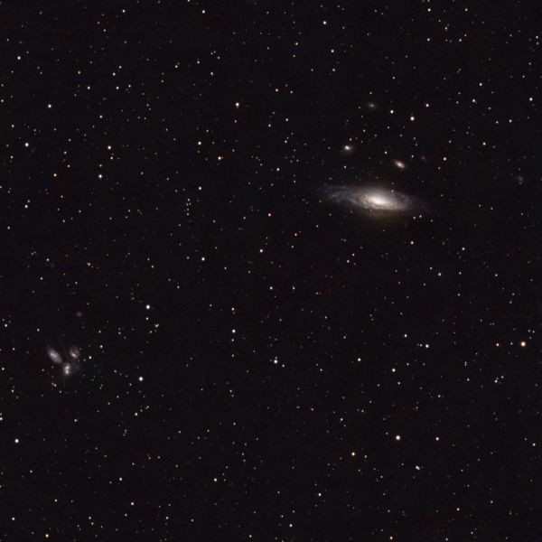 NGC 7331: The 