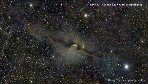 LDN 43 – Cosmic Bat in Opiuchus. - Astrophotography