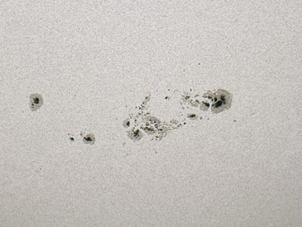 Active Region 4197 from 30.08.25 - Astrophotography