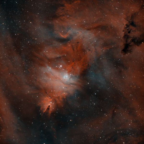 NGC 2264 - Christmas Tree Cluster & Cone Nebula - Astrophotography