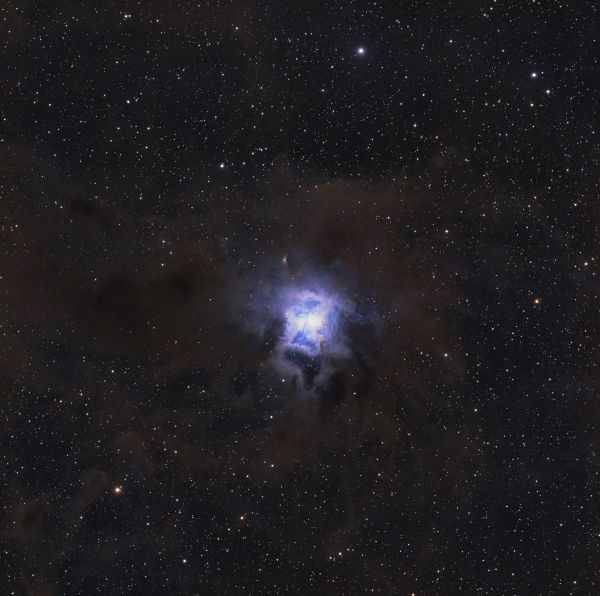 "Iris" NGC 7023 - Astrophotography
