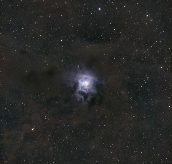 NGC 7023 IRIS - Astrophotography