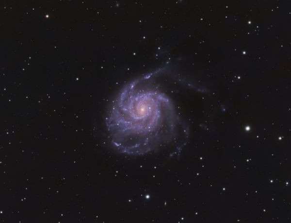 M101 Pinwheel Galaxy - Astrophotography