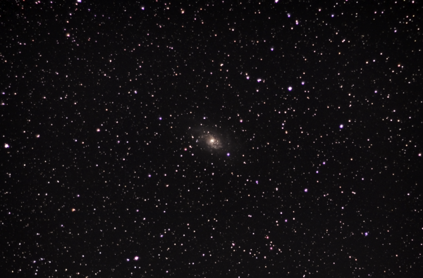 Triangulum Galaxy, M 33, NGC 598 - Astrophotography