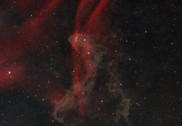 LBN 437 - Gecko Nebula - Astrophotography