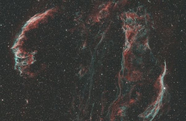 The 