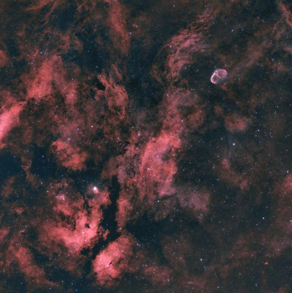 Sadr and surroundings  NGC 6888 - Astrophotography