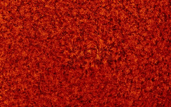 2018.08.05 Sun AR12717 H-Alpha - астрофотография
