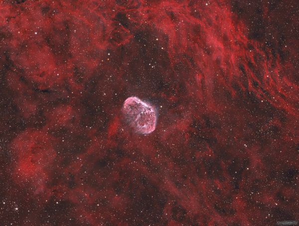 NGC6888 Crescent Nebula - Astrophotography