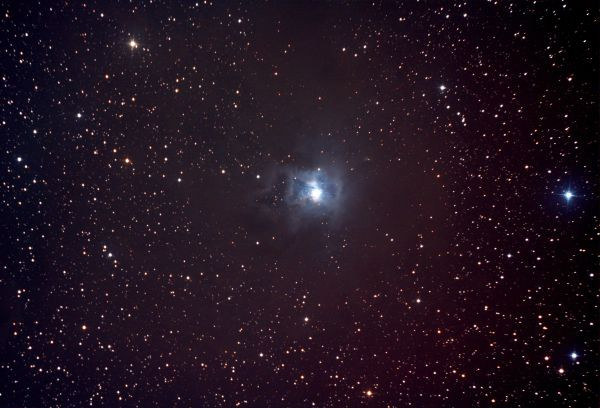 NGC 7023 - Iris Nebula - Astrophotography