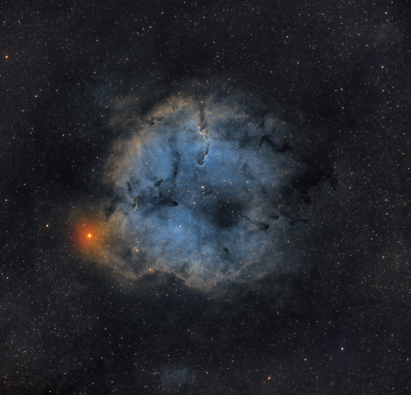 Туманность Хобот Слона (IC 1396A) - астрофотография