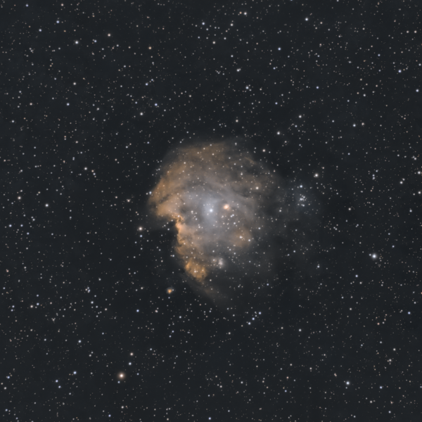 NGC 2175  Monkey Head - астрофотография