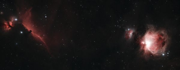 M42 и Конь - астрофотография