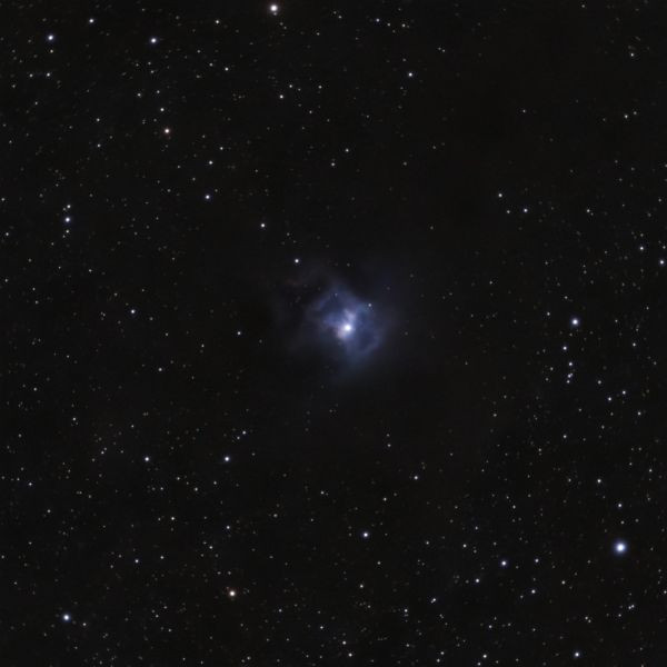 NGC 7023 - Iris Nebula - Astrophotography