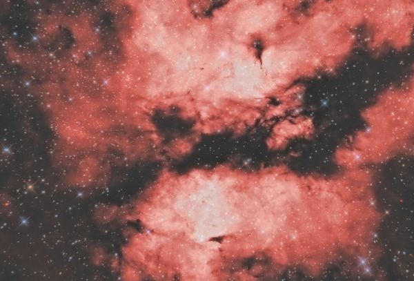 Туманность Гамма Лебедя - астрофотография