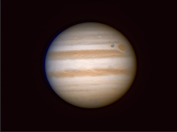 Jupiter. Transit of Ganymede and GRS 04.02.26, Gif - Astrophotography