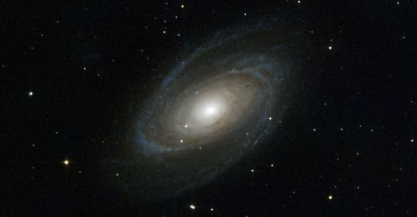 M81 - Astrophotography