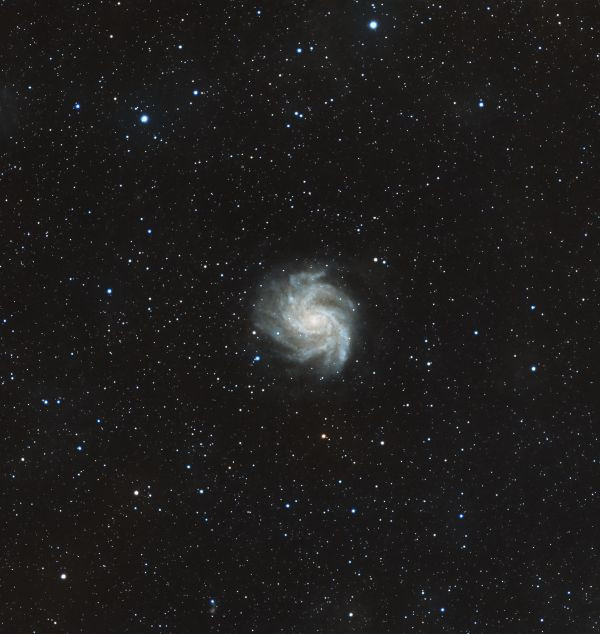 NGC 6946 Galaxy 
