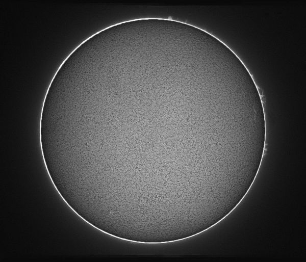Солнце    монохром.   05.08.2021. - астрофотография