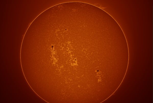 Sun in CaK line 06.09.2025 - Astrophotography