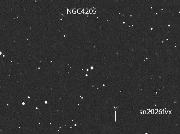 Ngc4205 sn - Astrophotography