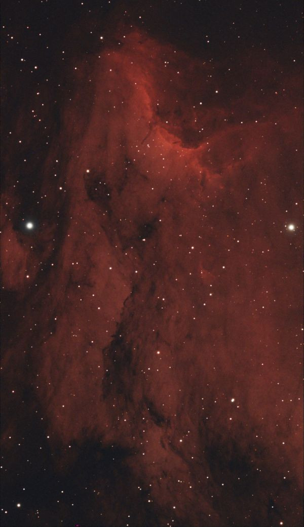 IC 5070 Pelican - Astrophotography