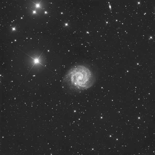 NGC 3184 - Astrophotography