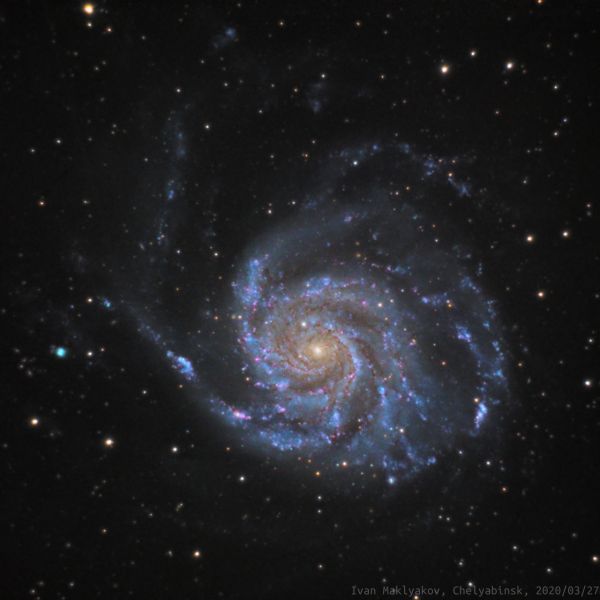 Галактика Вертушка (M101). - астрофотография