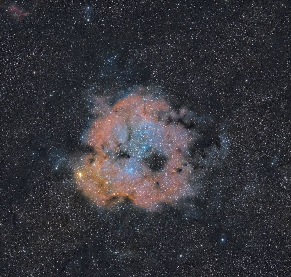 Туманность Хобот Слона (IC 1396A) - Astrophotography