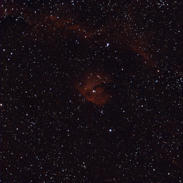A fragment of the Seagull Nebula (IC 2177) - Astrophotography