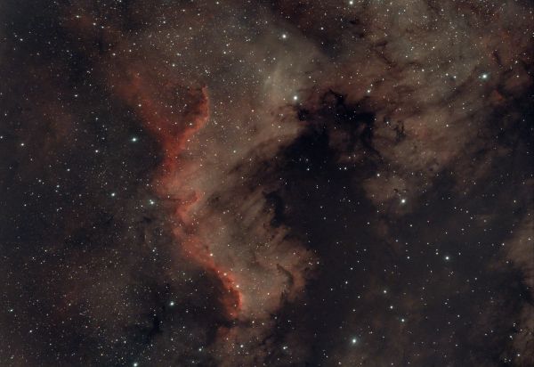 NGC 7000 (Туманность северная америка) - астрофотография