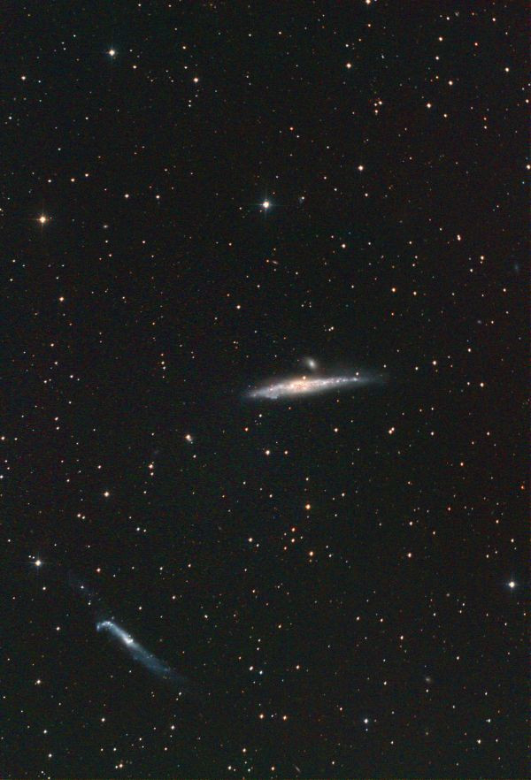NGC 4631 - Whale Galaxy - Astrophotography