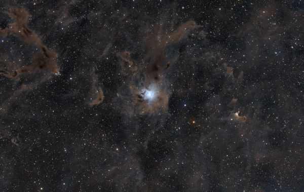 NGC 7023 Iris Nebula - Astrophotography