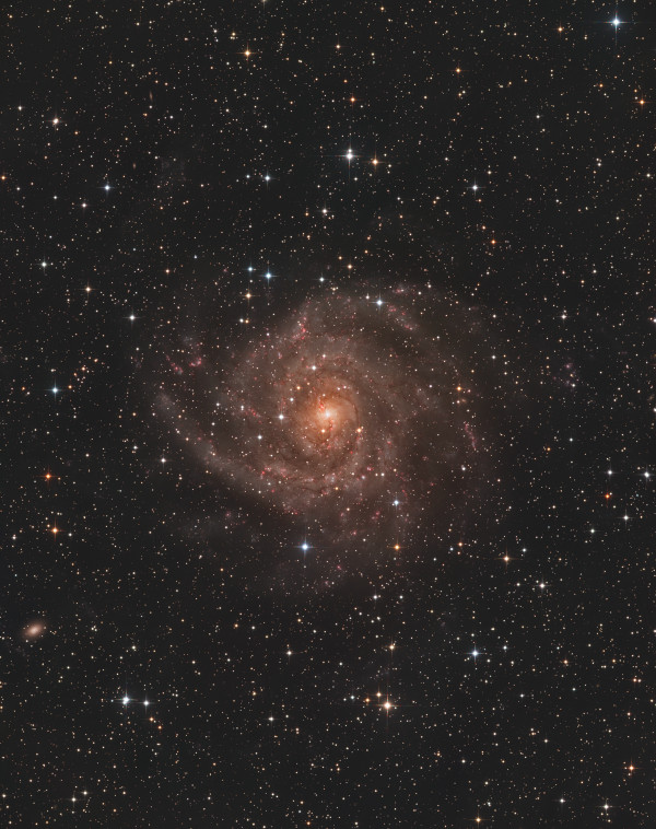 Hidden galaxy IC 342 - Astrophotography
