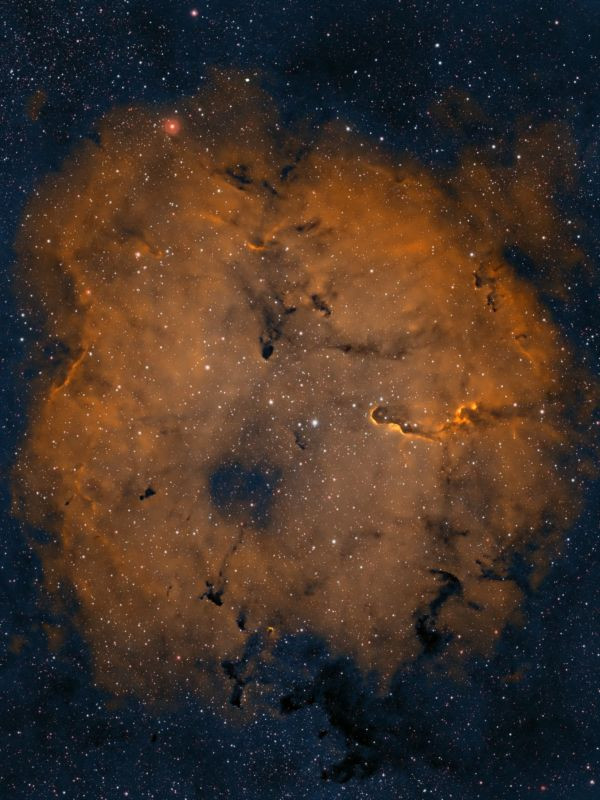 IC 1396 Elephant's Trunk - Astrophotography