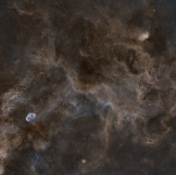 NGC6888 Crescent and Tulip - Astrophotography