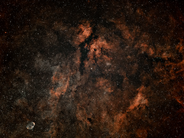 Область Садра (IC 1318 или Гамма-туманность Лебедя )  - астрофотография
