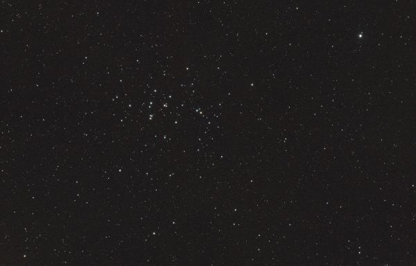 M44 - скопление Улей - астрофотография