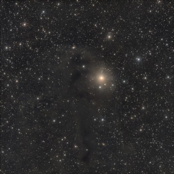 LDN 1251 - Rotten Fish - Astrophotography
