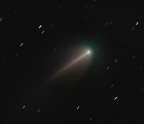 Comet 220P/McNaught (2026) - Astrophotography